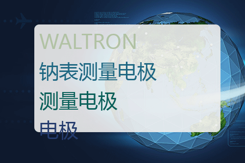 WALTRON 钠表测量电极